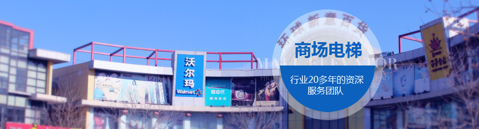 商场电梯,东芝商场电梯,立欣安泰